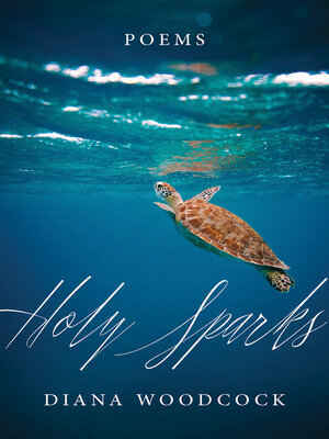cover image of Holy Sparks
